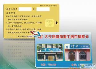 智能卡 现代安全防护的核心载体与产业全景